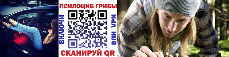 Галлюциногенные грибы ЛСД  kraken вход  Будённовск 