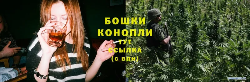 сайты даркнета клад  мега рабочий сайт  Будённовск  Шишки марихуана White Widow 